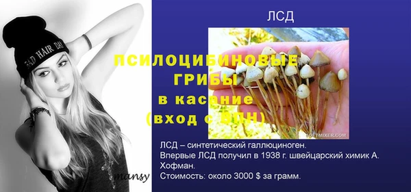 крисы Балахна