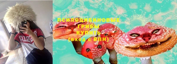 крисы Балахна