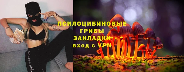 крисы Балахна