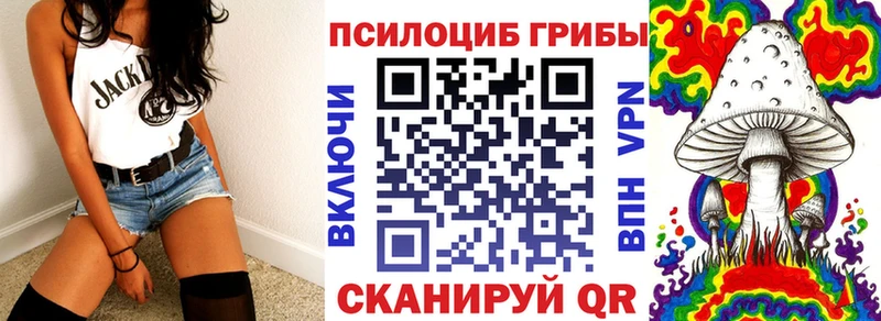 Псилоцибиновые грибы GOLDEN TEACHER  Тихорецк 